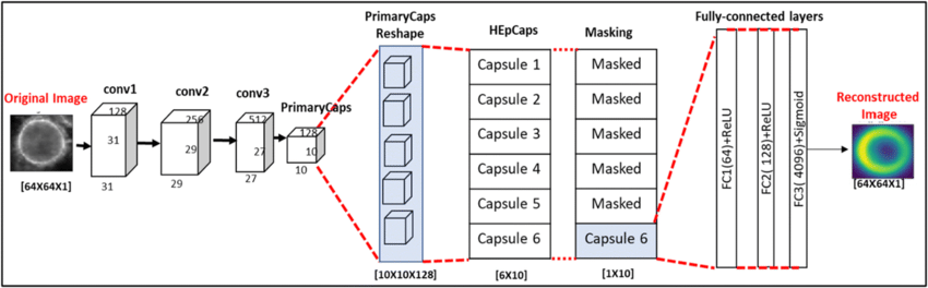 capsule network architecture explainer