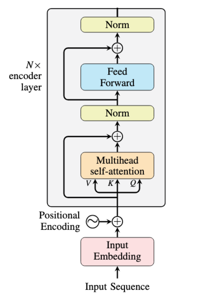 BERT Encoder Architecture